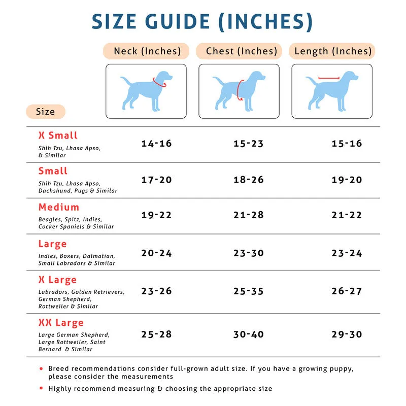 Dog Raincoat - Dogs Just Wanna Have Fun!