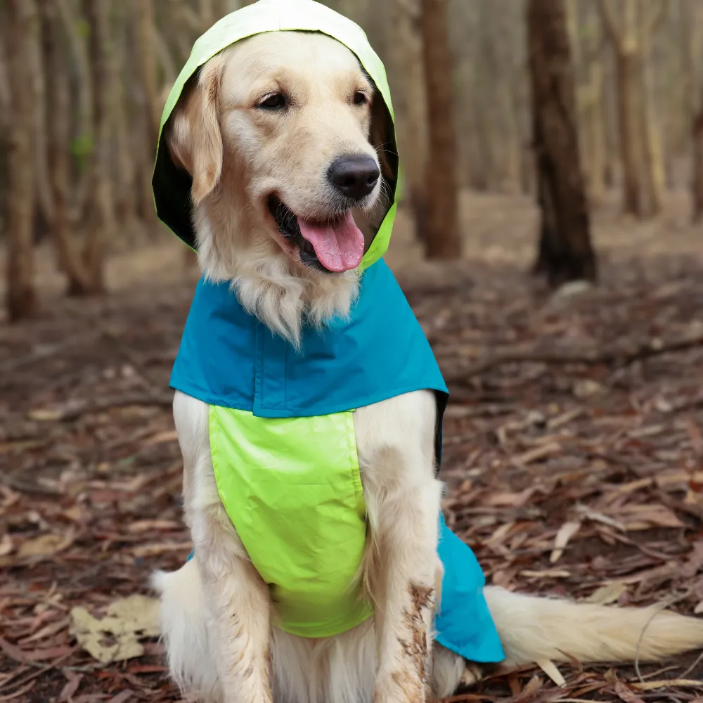 Splash Saver Pack of 2 Raincoats Rain Rover