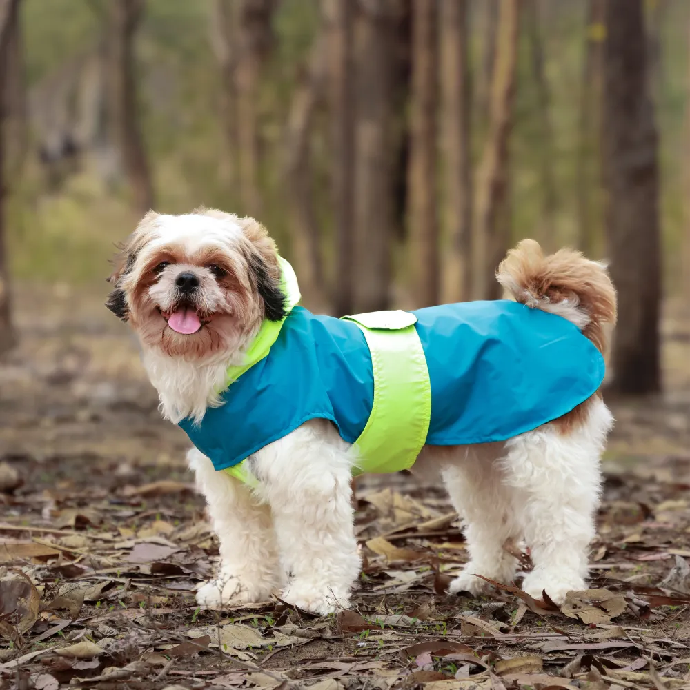 Splash Saver Pack of 2 Raincoats Rain Rover